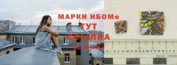 ПСИЛОЦИБИНОВЫЕ ГРИБЫ Арсеньев