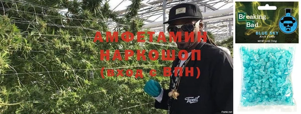 ПСИЛОЦИБИНОВЫЕ ГРИБЫ Арсеньев