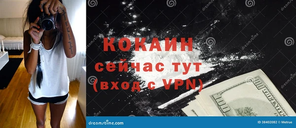 ПСИЛОЦИБИНОВЫЕ ГРИБЫ Арсеньев