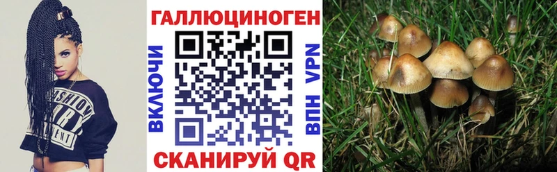 blacksprut ССЫЛКА  Спасск-Дальний  Галлюциногенные грибы Psilocybine cubensis 